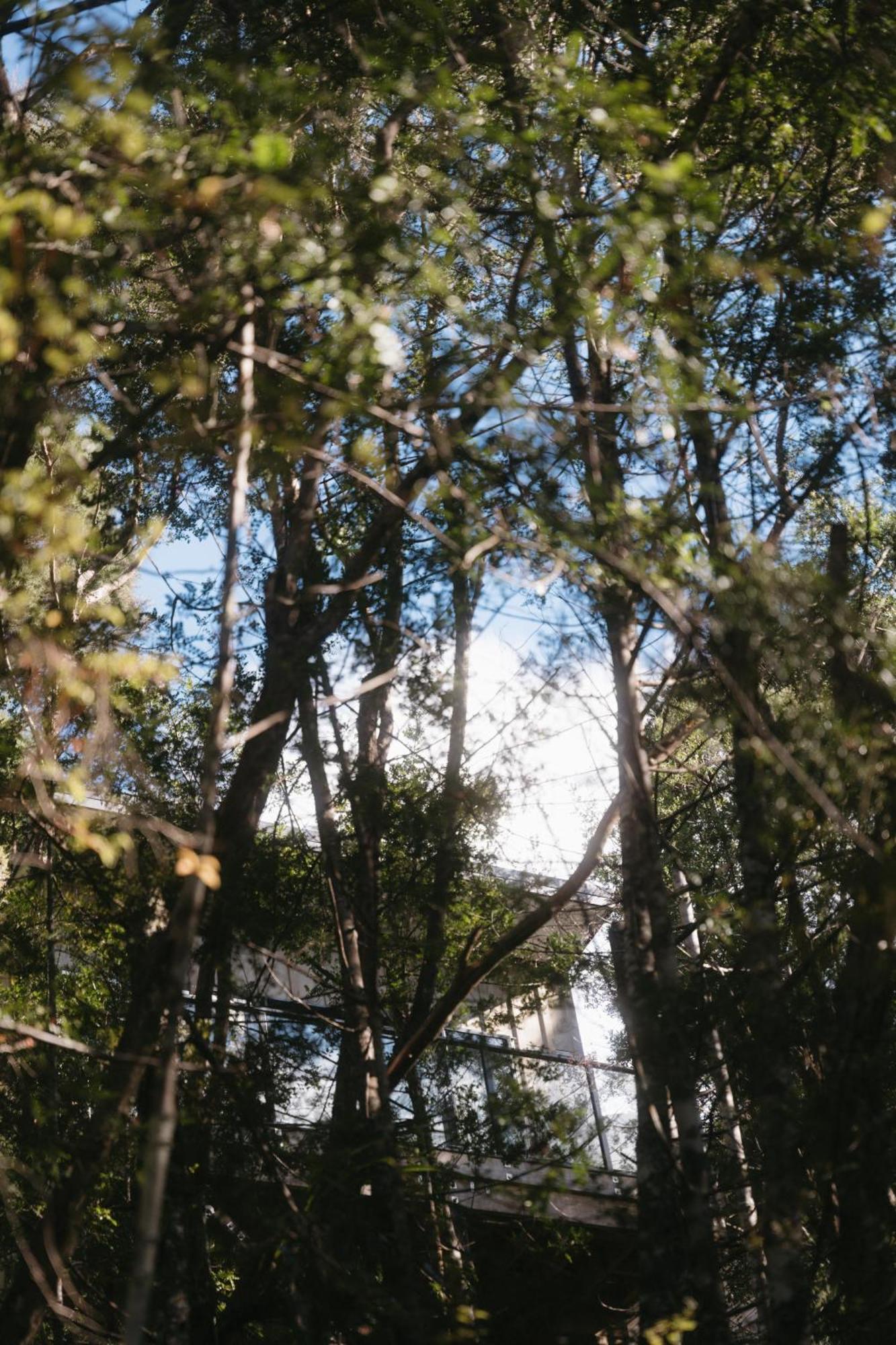 Treetop Tranquility At Rekindle Tree Houses Opua Εξωτερικό φωτογραφία