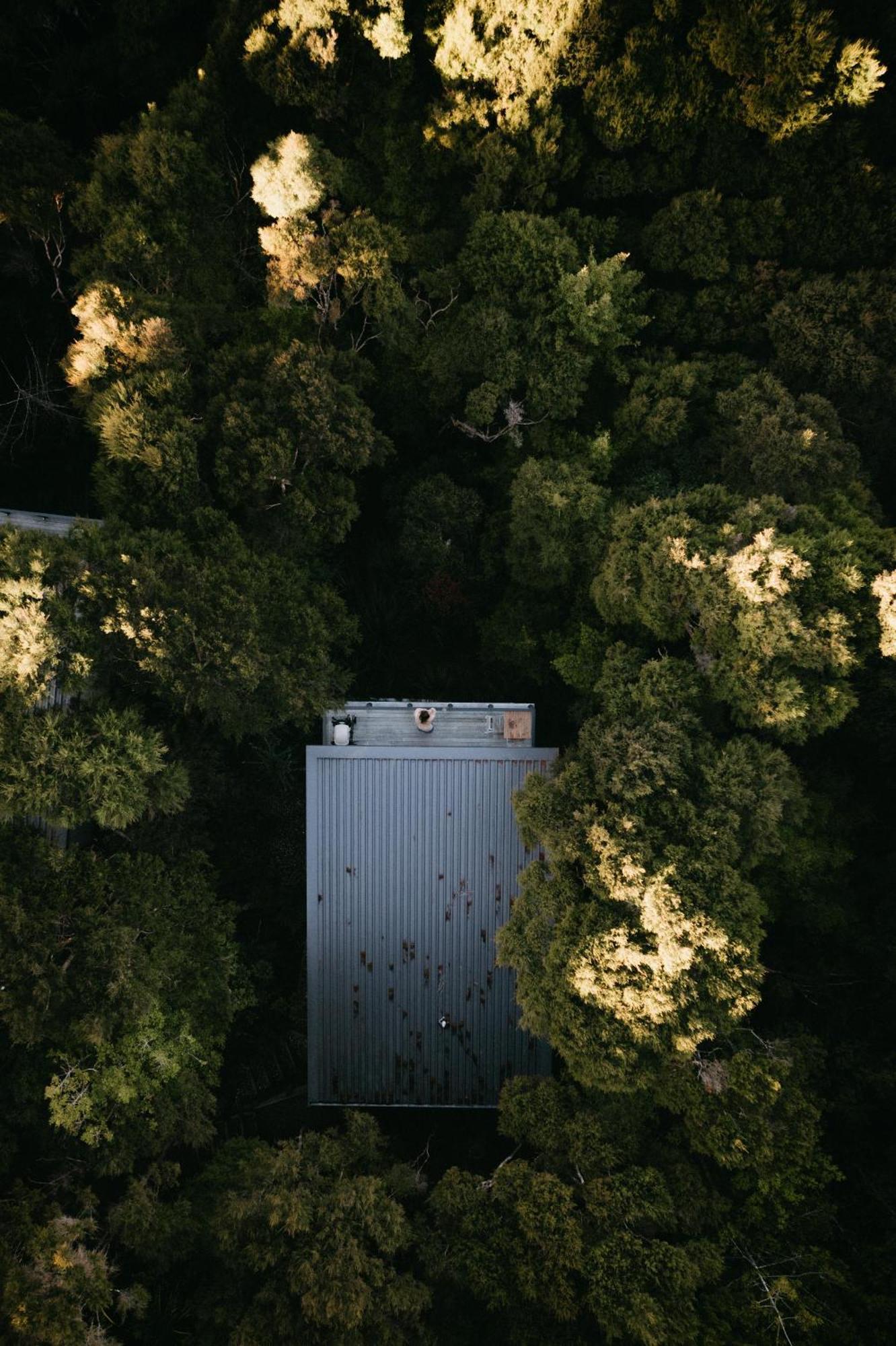 Treetop Tranquility At Rekindle Tree Houses Opua Εξωτερικό φωτογραφία