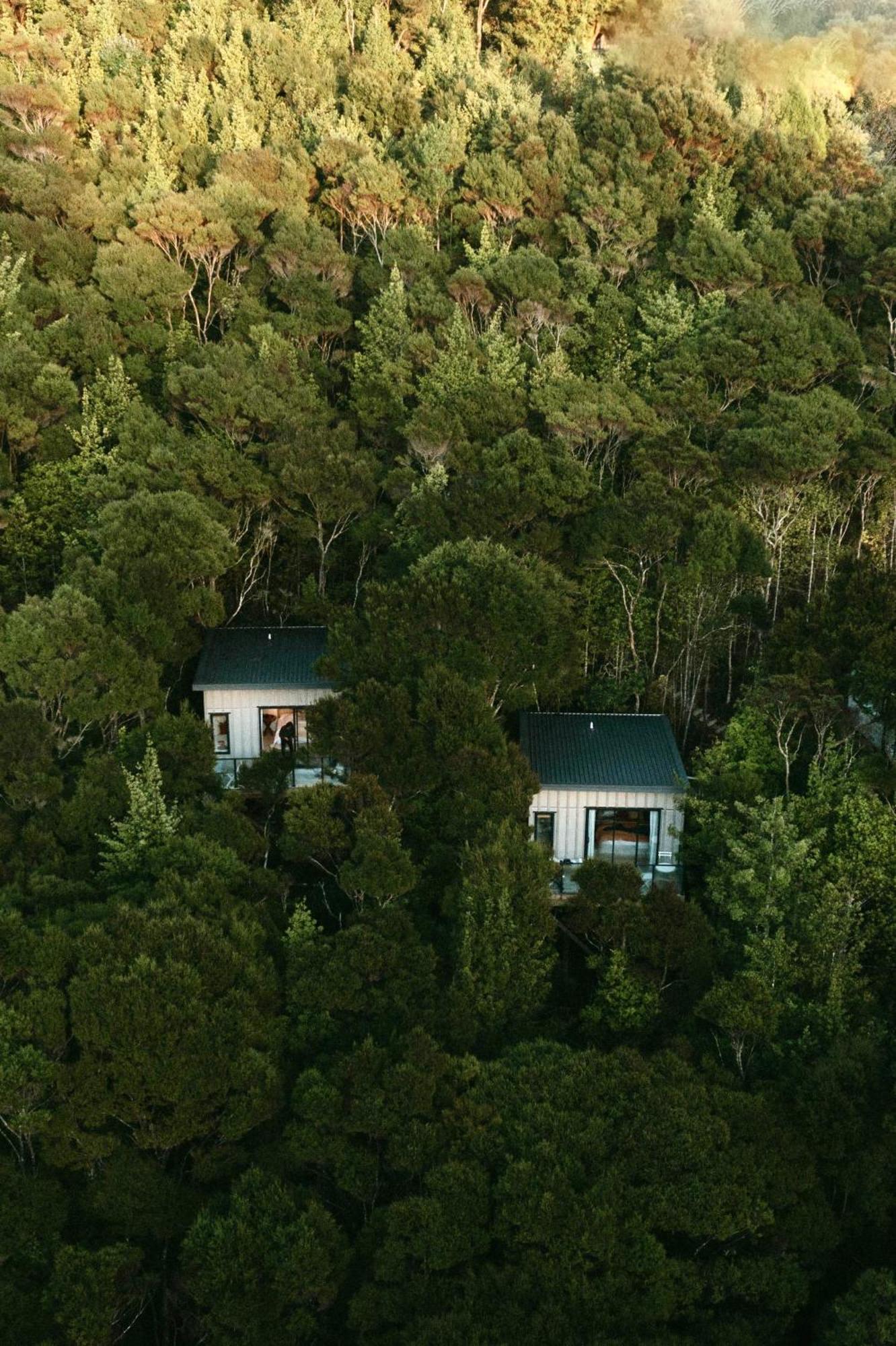 Treetop Tranquility At Rekindle Tree Houses Opua Εξωτερικό φωτογραφία